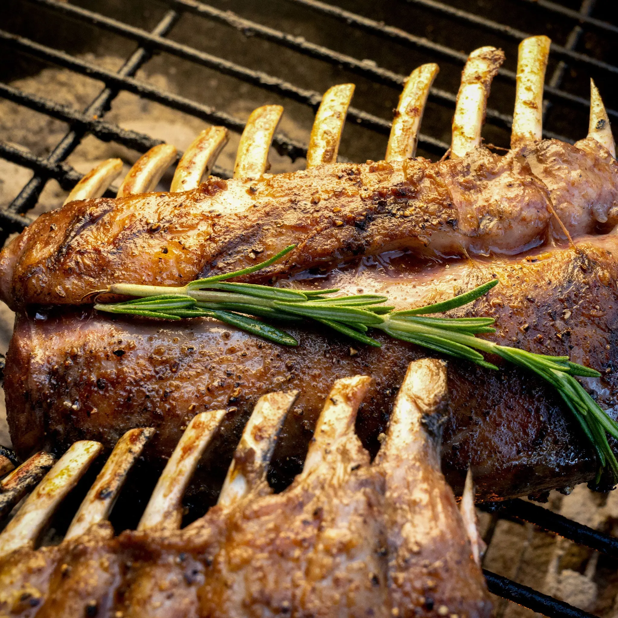 Rack of Lamb - Frenched Rib / NZ - Image 4