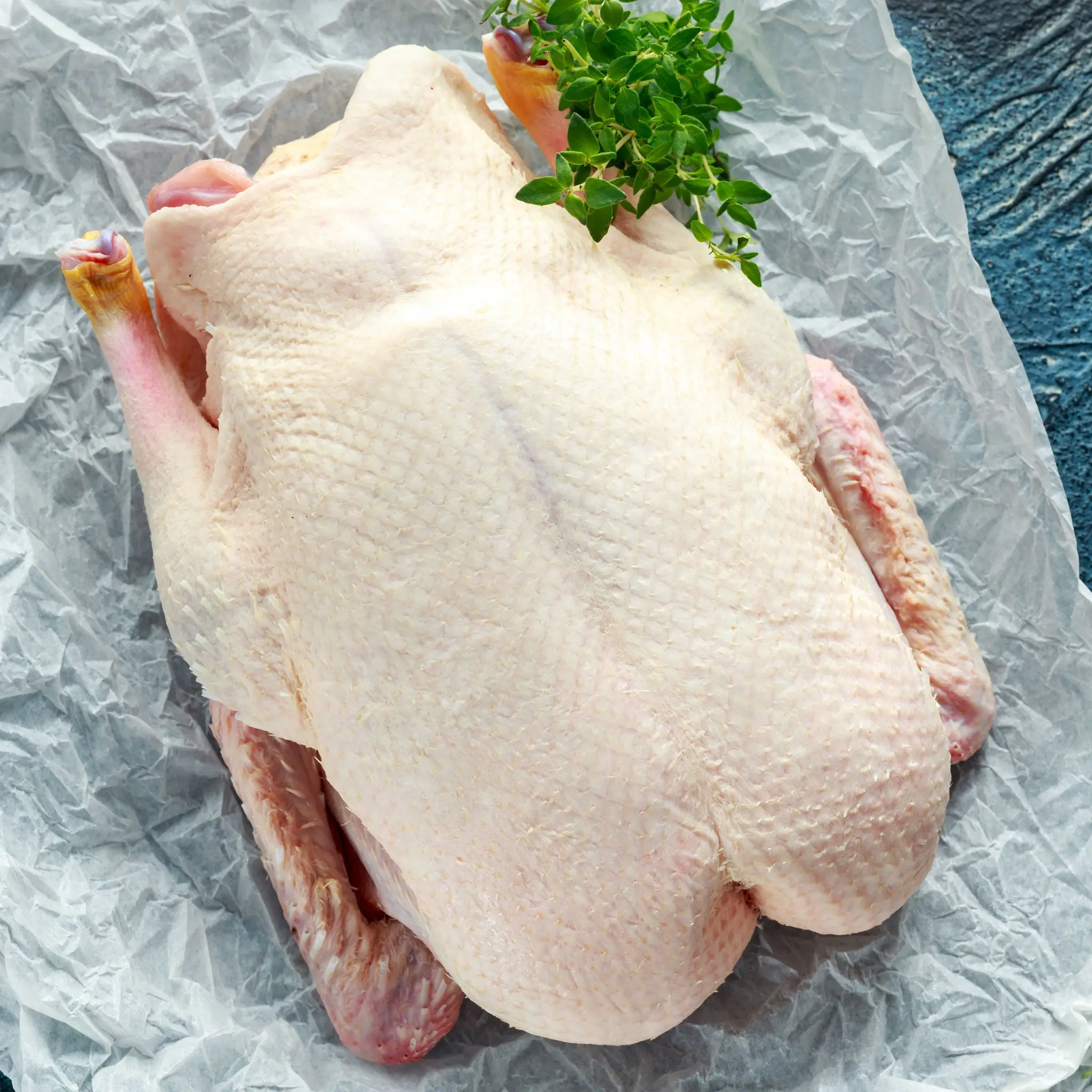 Whole Duck - Image 6